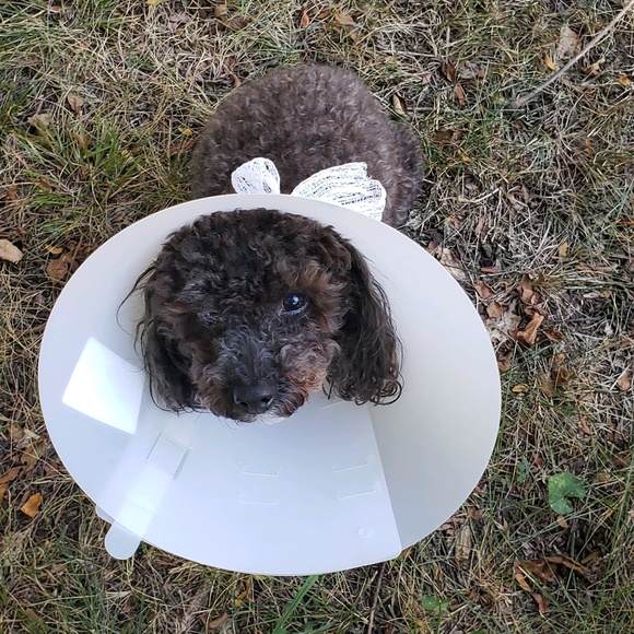 Meet your Posher, Jensine - Picture 1 of 1